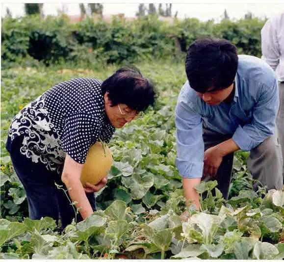 新疆吃瓜网红事件视频,网络热议背后的真相与反思