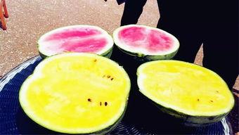 泉州吃瓜爆料视频,一场美食与八卦的盛宴